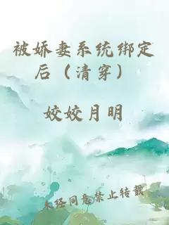 被娇妻系统绑定后(清穿)