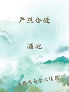 严丝合缝
